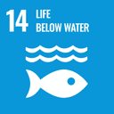 SDG 14 - 해양생태계 보호